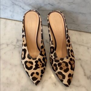 Club Monaco leopard pumps